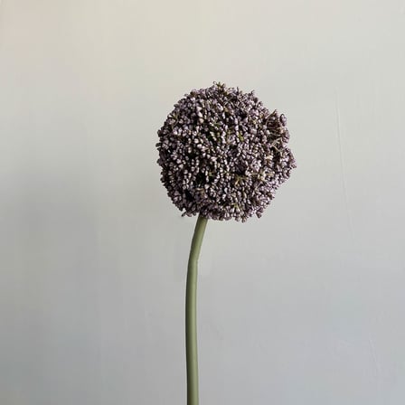 Yapay Allium Dal Lila 75 cm