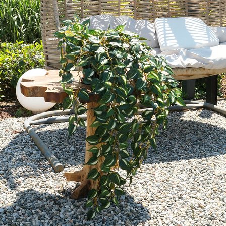 Yapay Zebra Desen Sarkıt Sarmaşık 95 cm