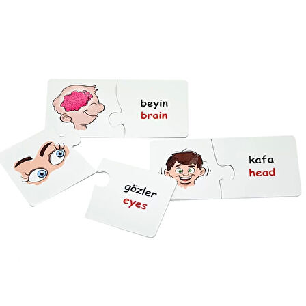 Edu-1008 Vücudumuz Eşleştir Oyunu -chiva