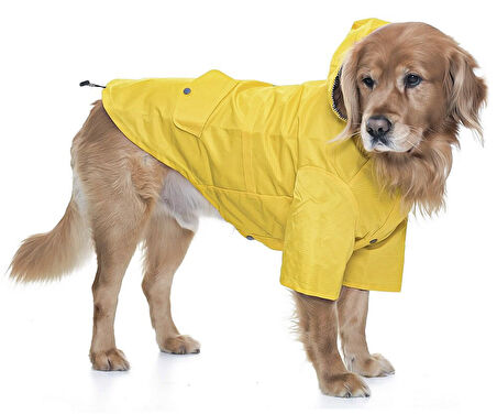 Orta ve Büyük Irk Köpek Yağmurluk - Sakha
