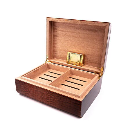 Hauser Humidor (561561)