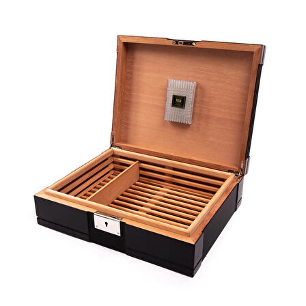 Hauser Humidor (562531)