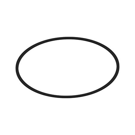 O-RING CH17447