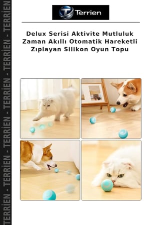 Delux Serisi Aktivite Mutluluk Zaman Akıllı Otomatik Hareketli Zıplayan Silikon Oyun Topu