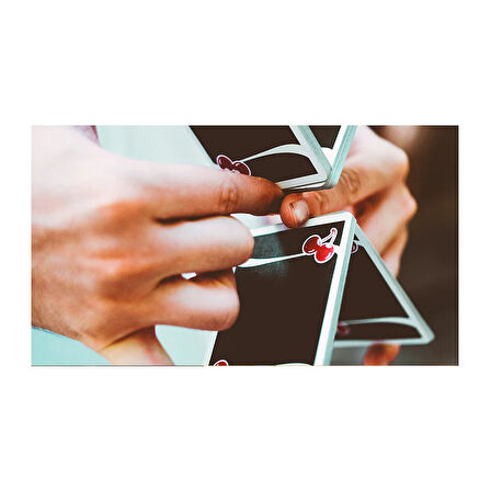 Bicycle Cherry Casino v3 Black Premium Oyun Kağıdı Koleksiyonluk iskambil Kartları Destesi