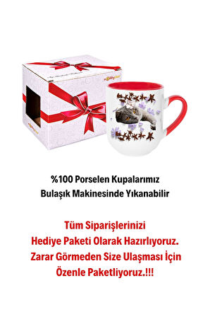 Sevimli Kedi Baskılı İçi Kırmızı Lüx Kupa Bardak Porselen Çay Kahve Fincanı