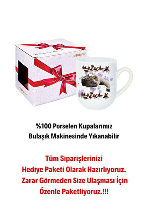 Sevimli Kedi Baskılı Lüx Kupa Bardak Porselen Çay Kahve Fincanı