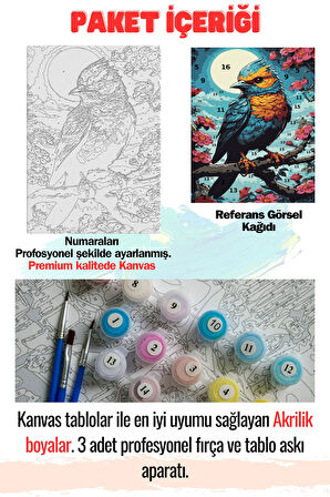 Sayılarla Boyama Kasnaklı Tablo Seti Fırça Boya Dahil 40x50
