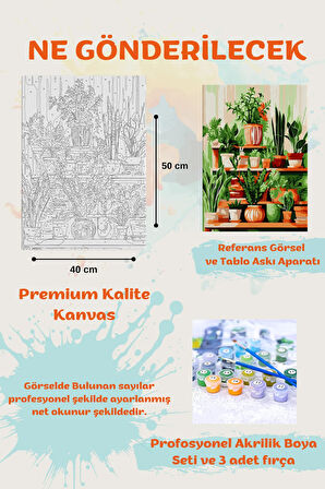 Sayılarla Boyama Seti Numaralı Tuval Fırça Boya ÇİÇEK RAFLARI 40x50 Cm