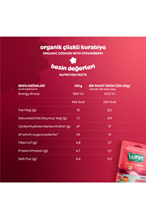 Humm Organic Organik Vegan Çilekli Kurabiye Atıştırmalık Paketi - 6 adet