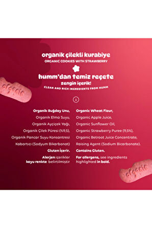 Humm Organic Organik Vegan Çilekli Kurabiye Atıştırmalık Paketi - 6 adet