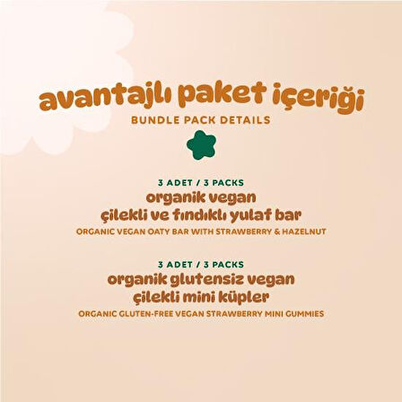 Organik Vegan Çilekli Atıştırmalık Paketi - 6 adet (2 çeşit)
