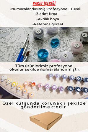 Sayılarla Boyama Çerçeveli Hobi Seti Numaralı Tuval Fırça Boya Dahil Kasnaklı ÇİLEK VAZOSU 40X50 Cm