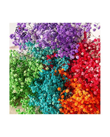 Şoklanmış Cipso 1.kalite 80 Gr Şoklanmış Karışık Renk Kurutulmuş Cipso Gypsophila Çiçek Vazo Süsü