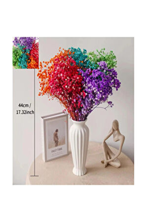 Şoklanmış Cipso 1.kalite 80 Gr Şoklanmış Karışık Renk Kurutulmuş Cipso Gypsophila Çiçek Vazo Süsü