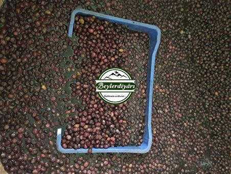 BEYLER DİYARI Çıtır Zeytin 10Kg