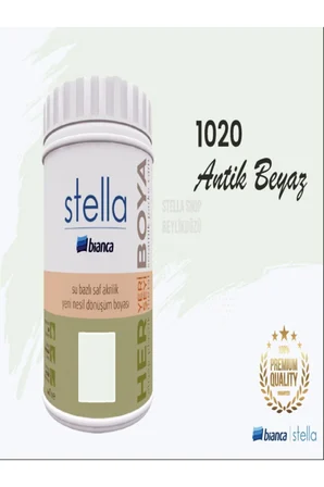 Stella Su Bazlı Akrilik Yeni Nesil Dönüşüm Boyası