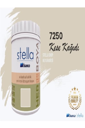 Stella Su Bazlı Akrilik Yeni Nesil Dönüşüm Boyası