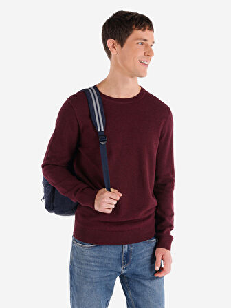 Regular Fit Bisiklet Yaka Mor Erkek Kazak