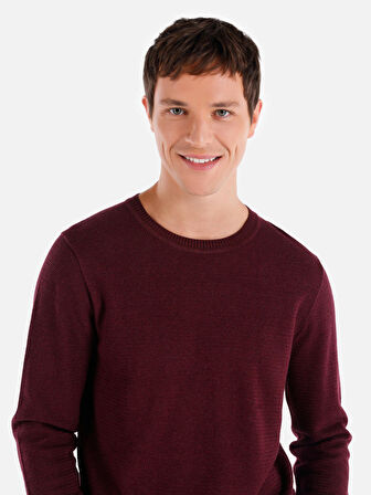 Regular Fit Bisiklet Yaka Mor Erkek Kazak