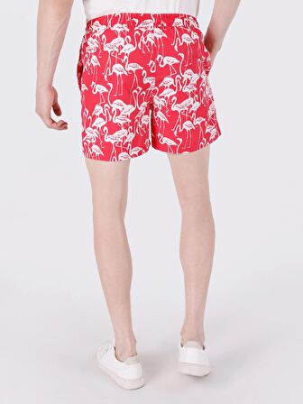 Slim Fit Orta Bel Baskılı Kırmızı Erkek Deniz Şortu Cl1063400