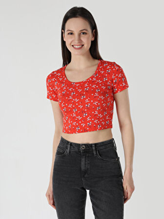 Slim Fit Baskılı Kırmızı Kadın Kısa Kol Tişört