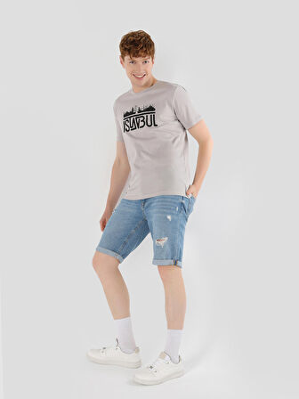 Regular Fit Bisiklet Yaka Baskılı Gri Erkek Kısa Kol Tişört