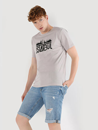 Regular Fit Bisiklet Yaka Baskılı Gri Erkek Kısa Kol Tişört