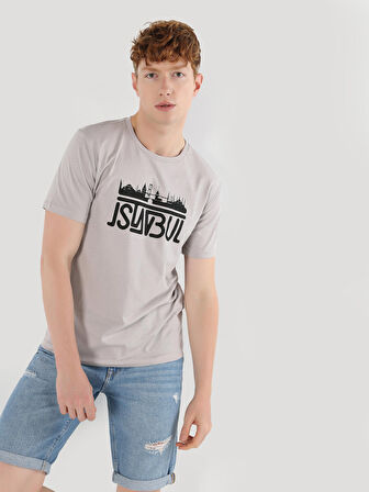 Regular Fit Bisiklet Yaka Baskılı Gri Erkek Kısa Kol Tişört