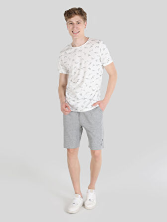 Regular Fit Bisiklet Yaka Baskılı Beyaz Erkek Kısa Kol Tişört