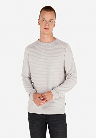 Regular Fit Yuvarlak Yaka Jakarlı Erkek Gri Kazak