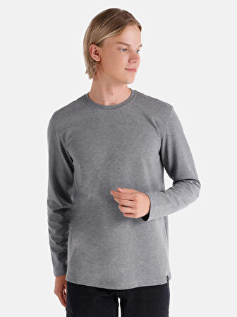 Regular Fit Bisiklet Yaka Basic Gri Erkek Uzun Kol Tişört
