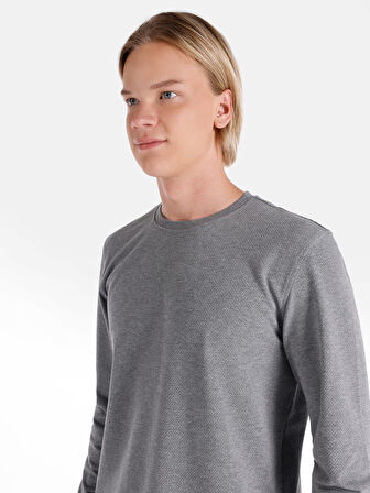 Regular Fit Bisiklet Yaka Basic Gri Erkek Uzun Kol Tişört