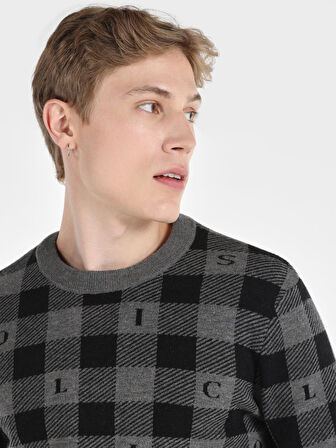 Regular Fit Bisiklet Yaka Baskılı Gri Erkek Kazak