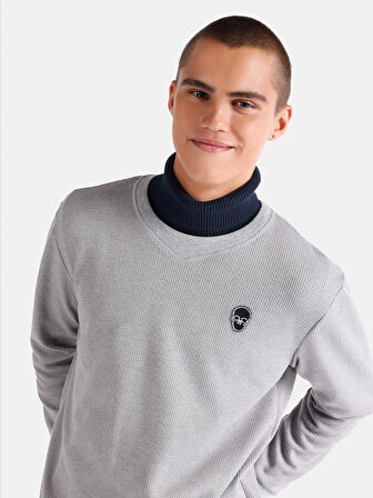 Regular Fit Bisiklet Yaka Baskılı Gri Erkek Uzun Kol Tişört