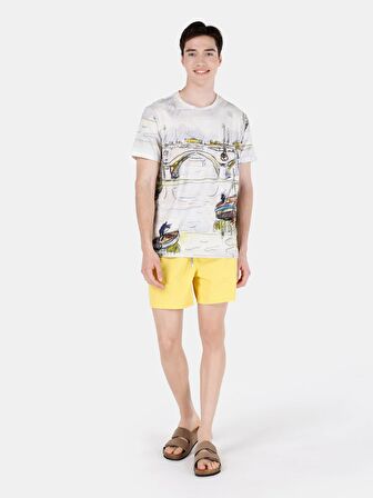 Çok Renkli Erkek Tshirt K.kol