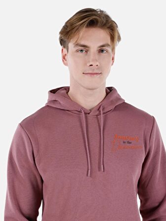 Normal Kesim Kapüşonlu Pembe Erkek Sweatshirt Cl1066869