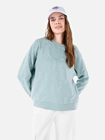 Normal Kesim Bisiklet Yaka Baskılı Yeşil Kadın Sweatshirt Cl1067320