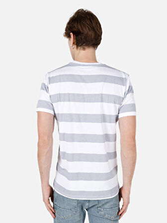 Regular Fit Yuvarlak Yaka  Erkek Gri Kısa Kol Tişört Cl1067726