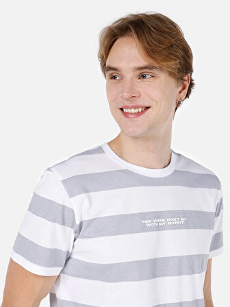 Regular Fit Yuvarlak Yaka  Erkek Gri Kısa Kol Tişört Cl1067726