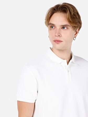 Normal Kesim Polo Yaka Beyaz Erkek Kısa Kol Tişört Cl1067808