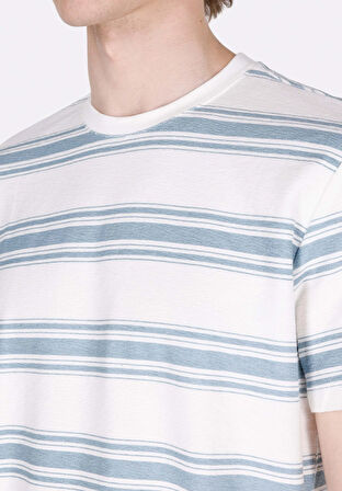 Regular Fit Yuvarlak Yaka Jakarlı Erkek Ekru Kısa Kol Tişört Cl1068181