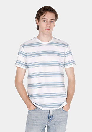 Regular Fit Yuvarlak Yaka Jakarlı Erkek Ekru Kısa Kol Tişört Cl1068181