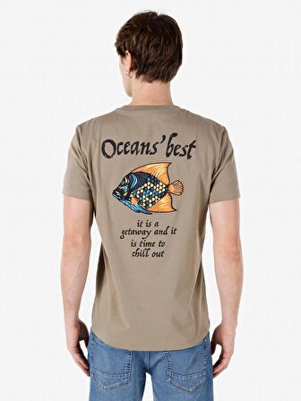 Normal Kesim Bisiklet Yaka Baskılı Gri Erkek Kısa Kol Tişört Cl1068195