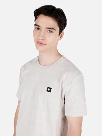 Normal Kesim Bisiklet Yaka Baskılı Taş Erkek Kısa Kol Tişört