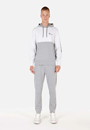 Regular Fit   Erkek Gri Sweatshirt