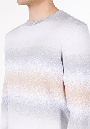 Regular Fit Yuvarlak Yaka Jakarlı Erkek Bej Kazak Cl1072416