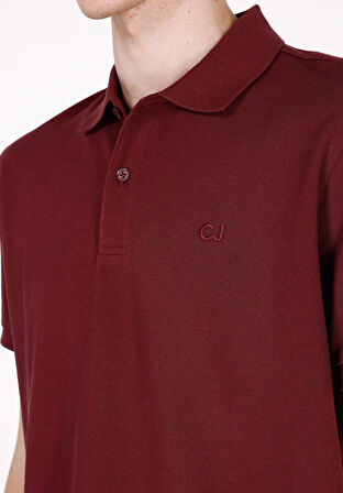 Regular Fit Polo Yaka Düz Erkek Mor Kısa Kol Tişört Cl1073960