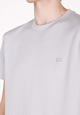Regular Fit Yuvarlak Yaka Düz Erkek Gri Kısa Kol Tişört Cl1073963