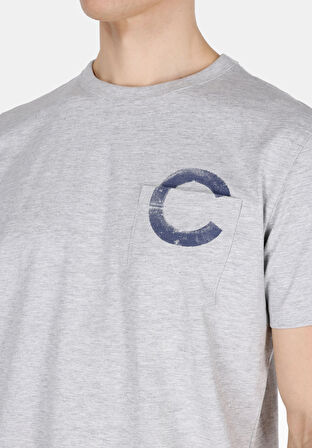 Regular Fit Yuvarlak Yaka Düz Erkek Gri Kısa Kol Tişört
